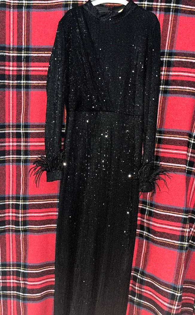 Tüy Detaylı Siyah Uzun Kollu Uzun Abiye Elbise - Görsel 2