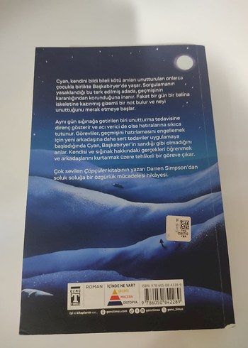 Ani Hırsızları - Darren Simpson - Görsel 3