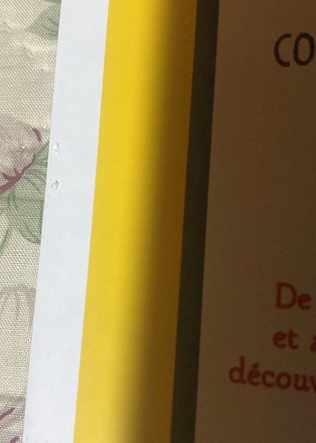 L'Histoire de l'Art en 21 Chats Sanat Kitabı - Görsel 3