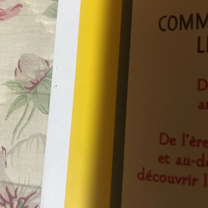 L'Histoire de l'Art en 21 Chats Sanat Kitabı - Görsel 3