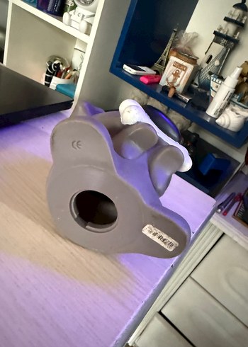 Kemik Tutan Gri Köpek Figürü - Görsel 2