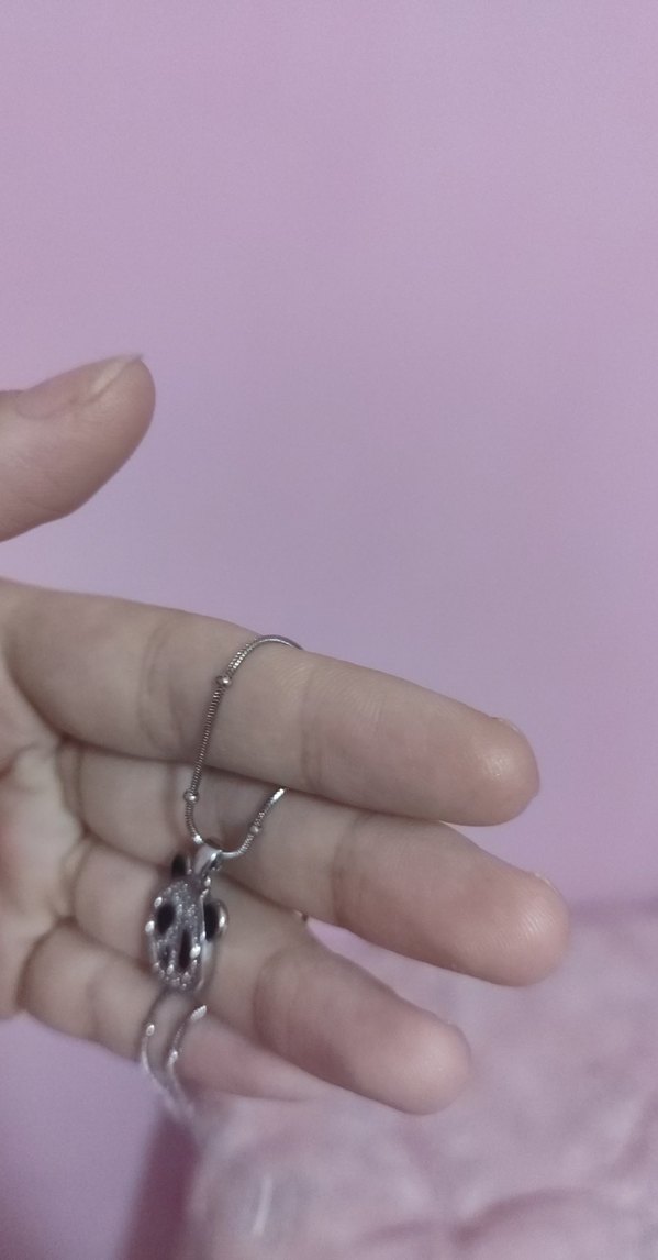 Çelik Panda Kolye - Görsel 2