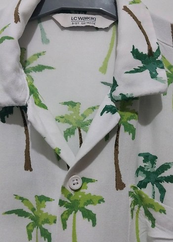 Erkek Çocuk Yeşil Palmiye Desenli Kısa Kollu Gömlek - Görsel 2