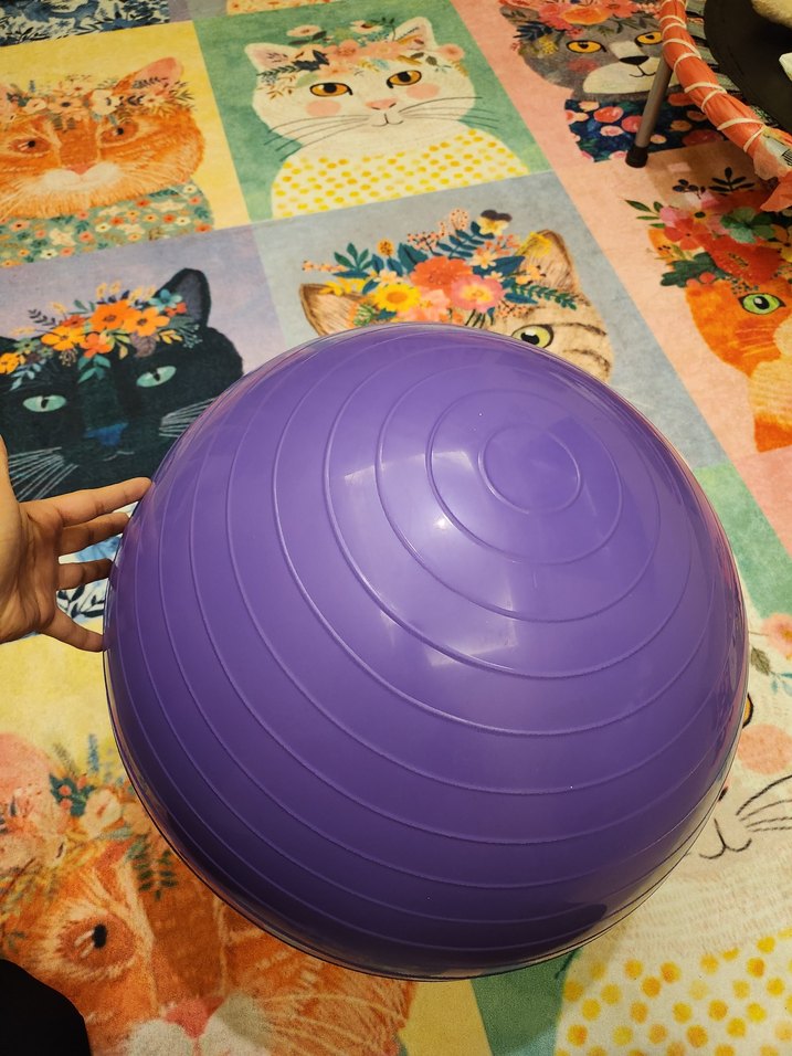 Mor Pilates Topu - Görsel 2