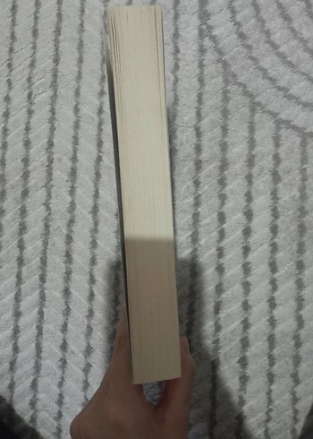 Yeşilin Kızı Anne - L. M. Montgomery - Görsel 2