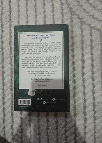 Yeşilin Kızı Anne - L. M. Montgomery - Görsel 3