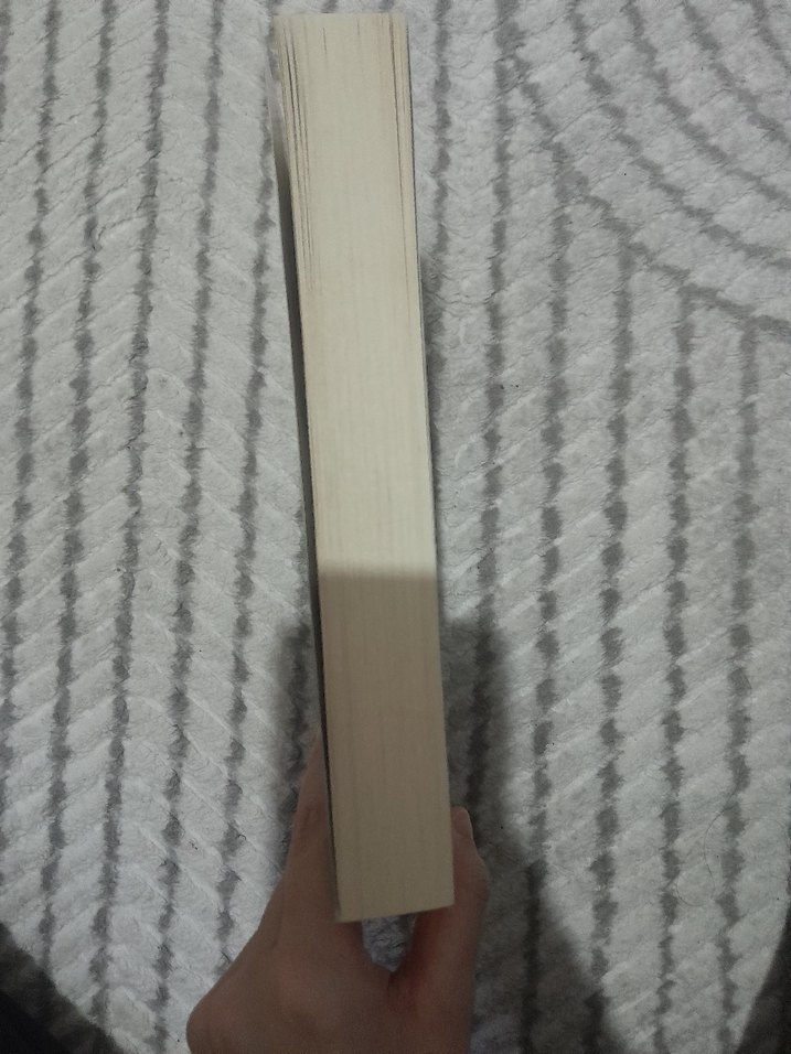 Yeşilin Kızı Anne - L. M. Montgomery - Görsel 2