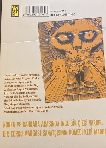 Junji Ito'nun Kedi Günlüğü: Yon & Muu - Görsel 2