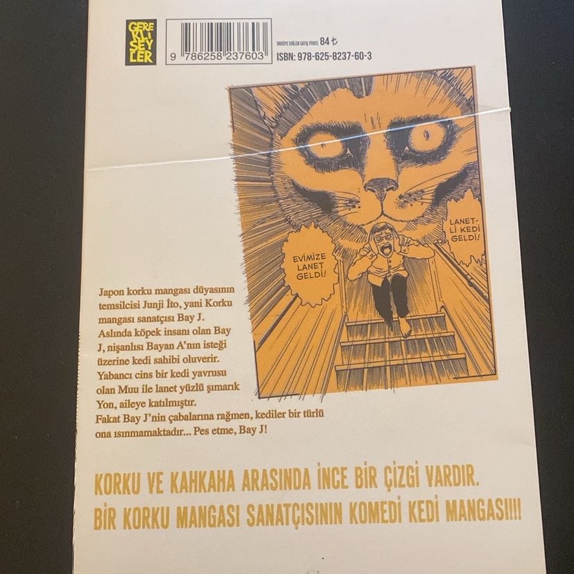 Junji Ito'nun Kedi Günlüğü: Yon & Muu - Görsel 2
