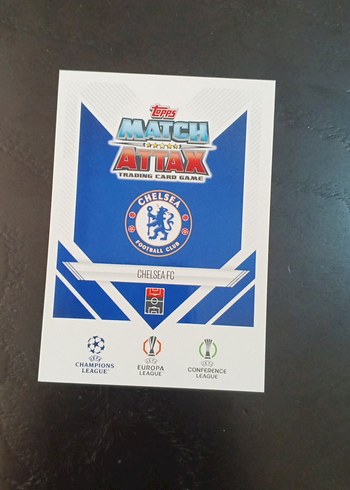 Palmer Sınırlı sayıda olan kart Tek elden teslim Bursa Nilüfer - Görsel 2