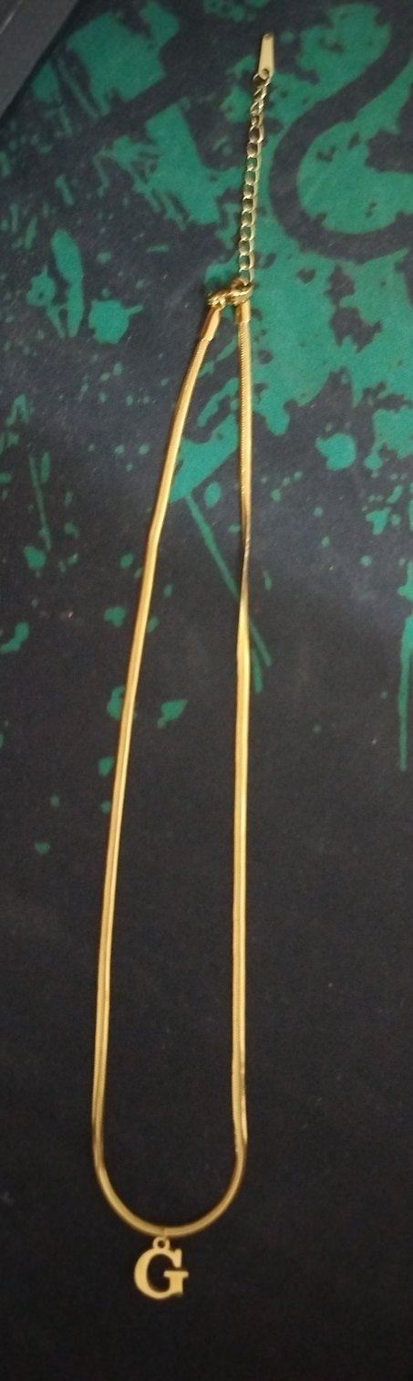 Uzun Zincir Detaylı Yılan Desenli Kadın Kolye - Görsel 2