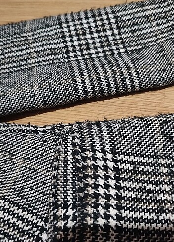 Siyah beyaz çizgili kaban - Görsel 3