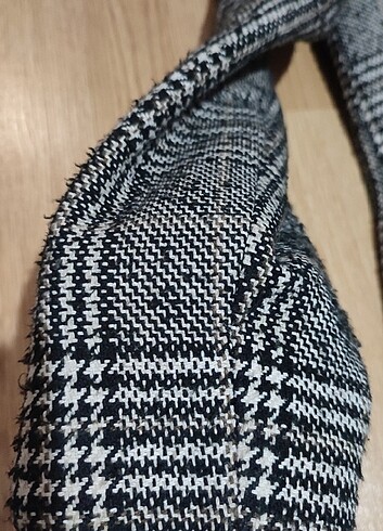 Siyah beyaz çizgili kaban - Görsel 5