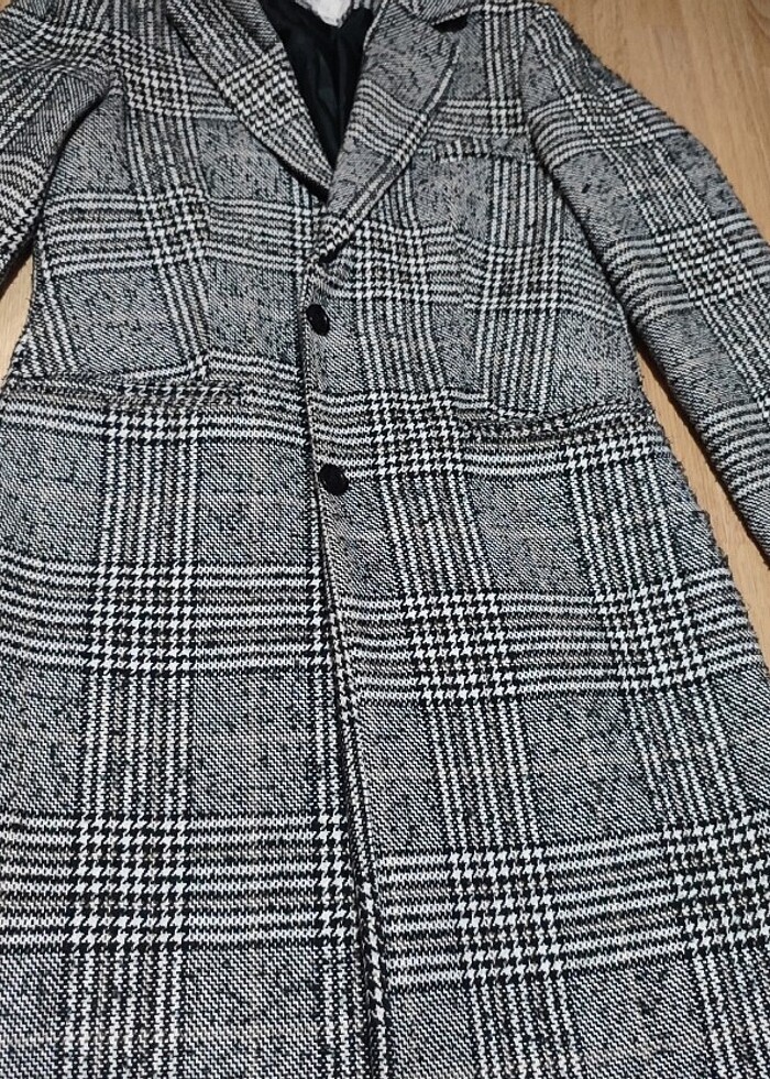 Siyah beyaz çizgili kaban  - Görsel 4