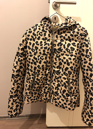Leopar desenli mont