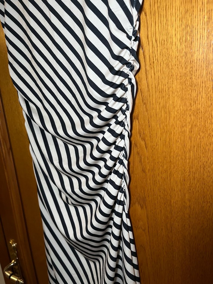 Zebra Desenli Uzun Kollu Kadın Kalem Elbise - Görsel 3