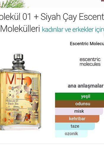 Escentric Molecules Molekül 01 + Siyah Çay Parfüm - Görsel 2