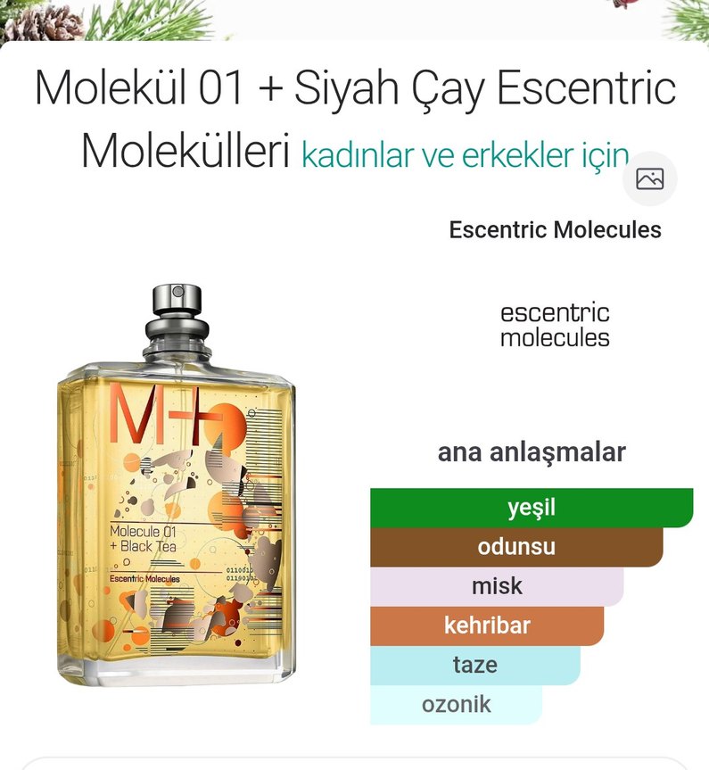 Escentric Molecules Molekül 01 + Siyah Çay Parfüm - Görsel 2