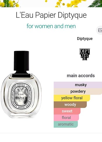 KOKU MUTFAĞI L'Eau Papier 55 ML - Görsel 2