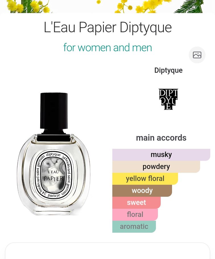 KOKU MUTFAĞI L'Eau Papier 55 ML - Görsel 2
