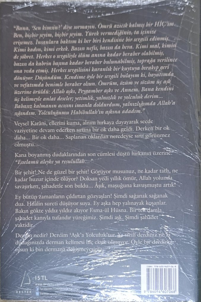 Aşka Yolculuk - Sinan Yağmur - Görsel 2