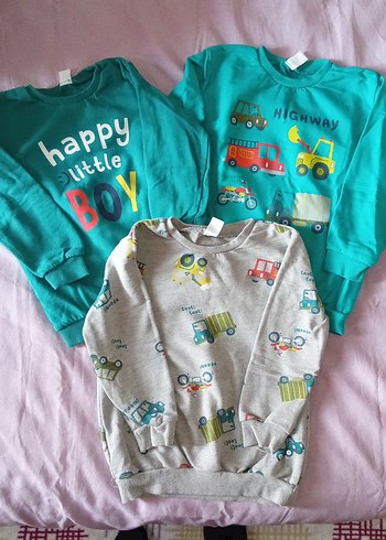 3'lü Erkek Çocuk Renkli Baskılı Pamuklu Sweatshirt