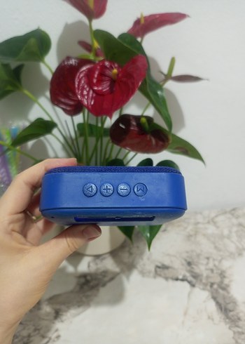 Hoparlör piranha - Görsel 4