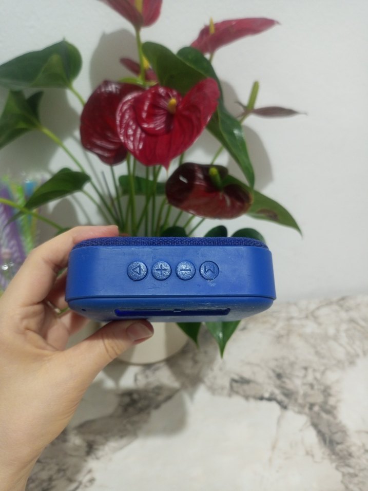 Hoparlör piranha - Görsel 4