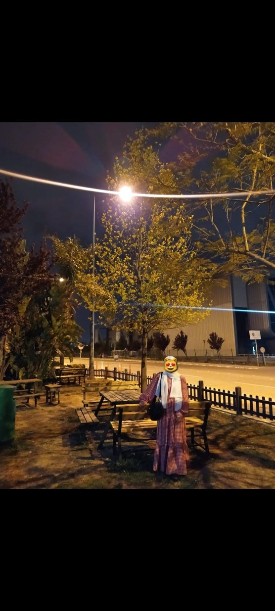 Kırmızı beyaz kare çizgili günlük belden lastikli elbise - Görsel 2