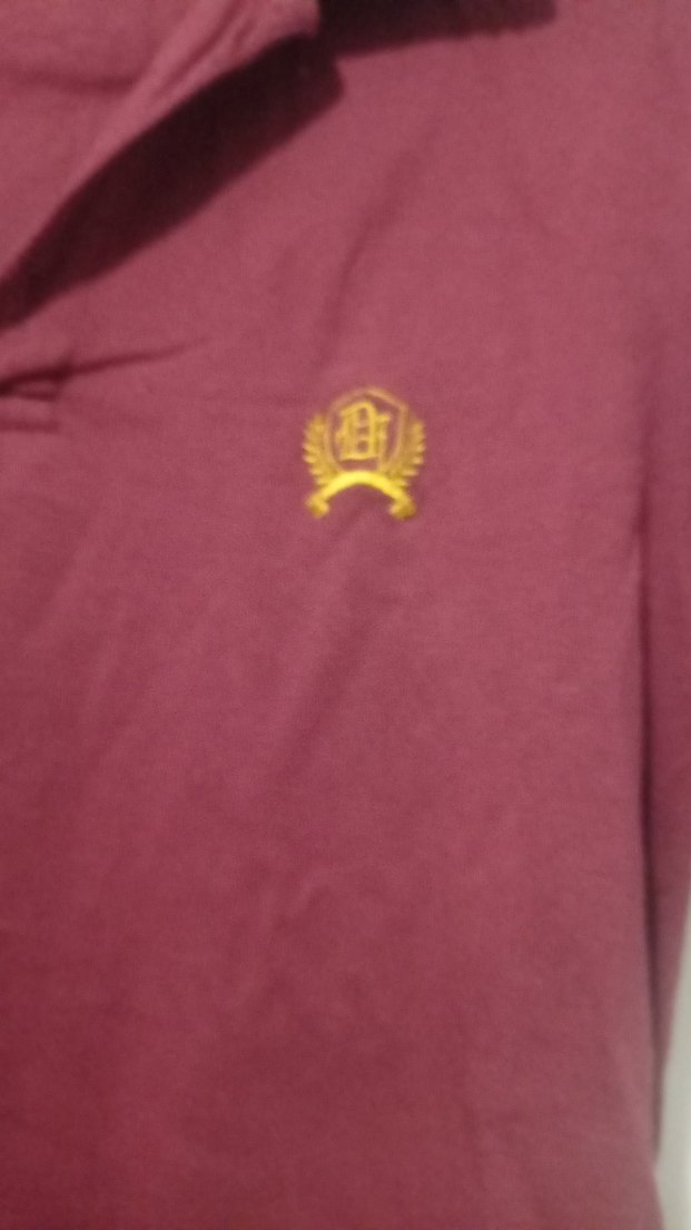 Bordo Düğmeli Erkek Polo Tişört - Görsel 3