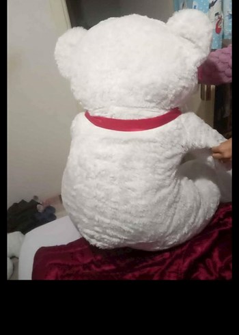 Beyaz Peluş Ayıcık Seti - Görsel 3