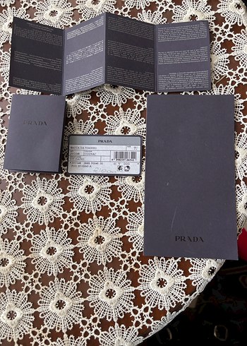 Prada Gri Baskılı Kadın Gözlük kılıfı - Görsel 4