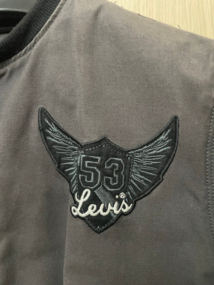 LeviS Ceket - Görsel 2