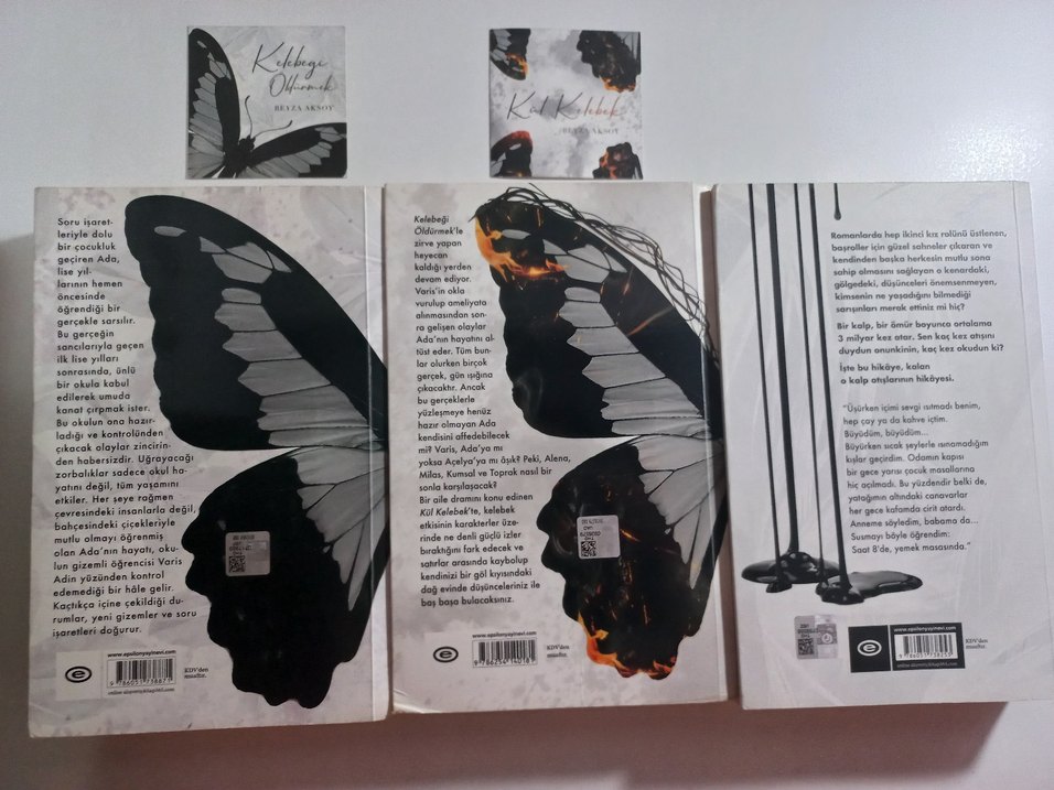 Beyza Aksoy - Kül Kelebek serisi - Görsel 2