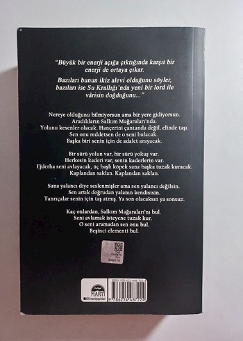 Lordlar ve Varisler - N.G. Kabal - Görsel 2