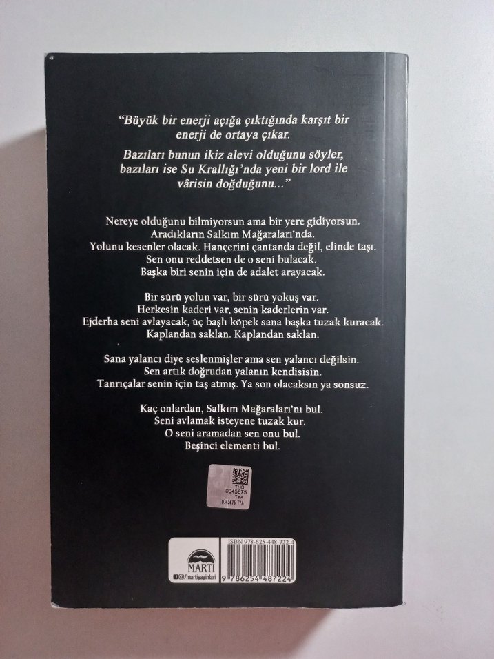 Lordlar ve Varisler - N.G. Kabal - Görsel 2