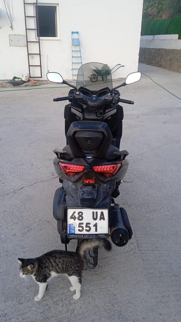 Yamaha xmax 250 cc - Görsel 3