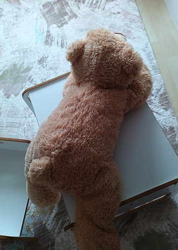 Pastel Kahverengi Peluş Ayı Oyuncak - Görsel 2