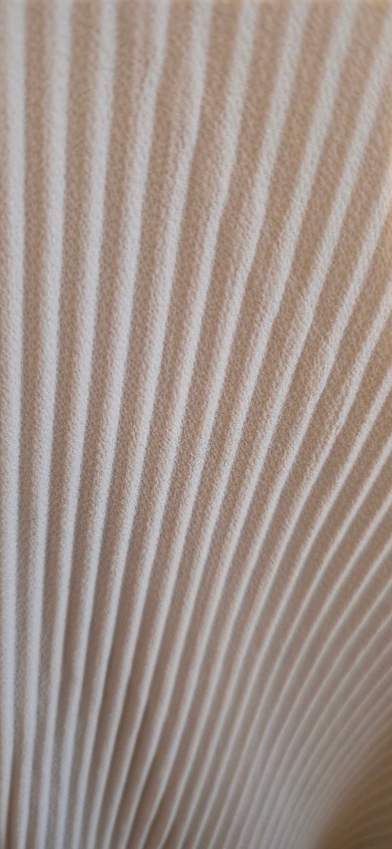 V Yaka Pileli Kolsuz Kadın Bluz - Görsel 3