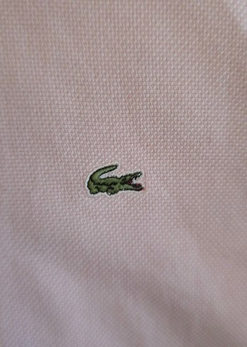 Uzun Kollu Ucuk Pembe Kadin Gömlek - Görsel 3