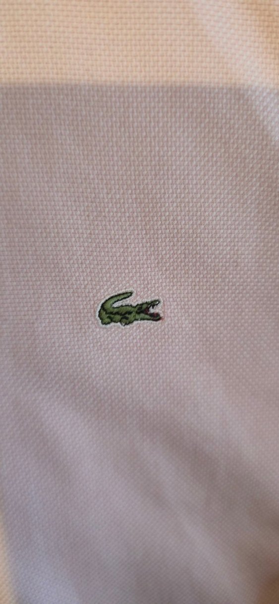 Uzun Kollu Ucuk Pembe Kadin Gömlek - Görsel 3