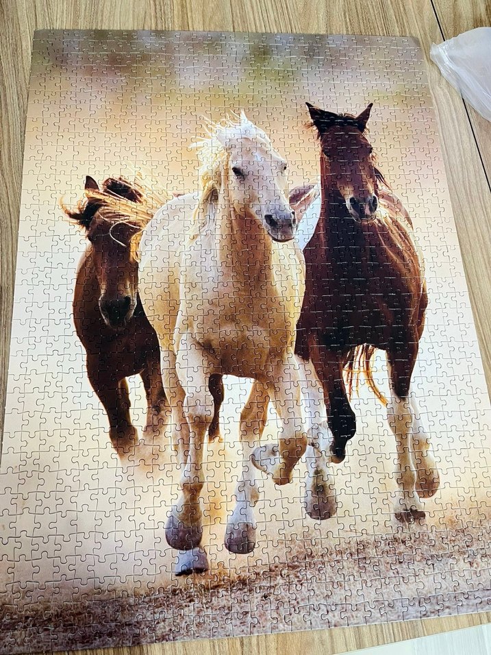 Clementoni 1000 Parça At Temalı Puzzle - Görsel 2