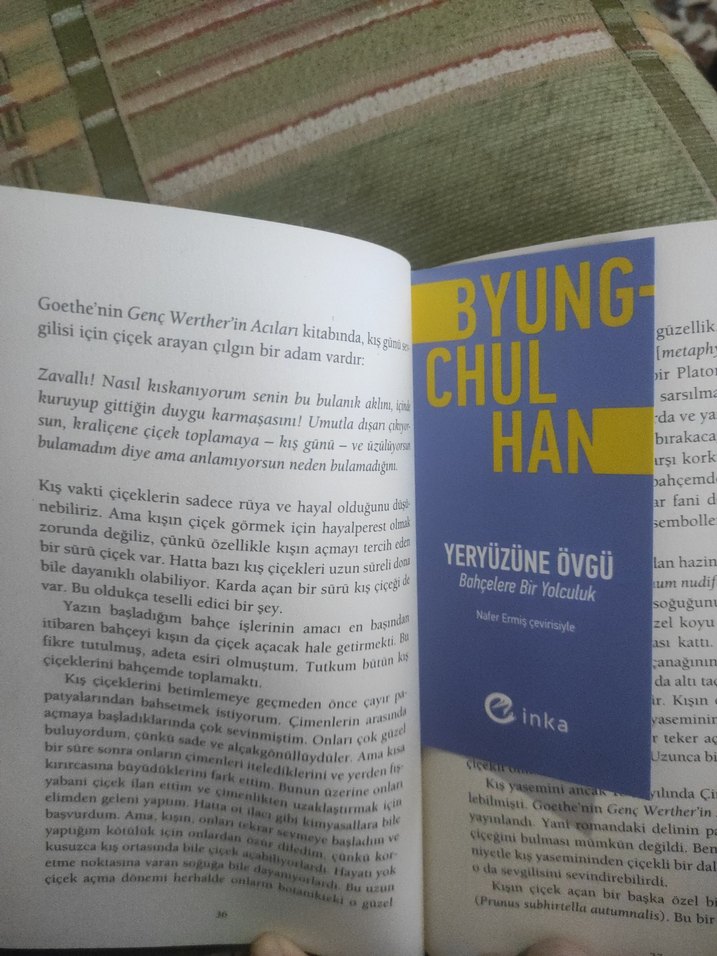 Byung-Chul Han - Yeryüzüne Övgü - Görsel 3