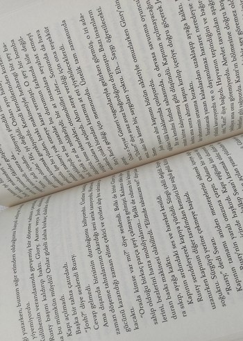 Kuğu şarkısı  - Robert McCammon - Görsel 2