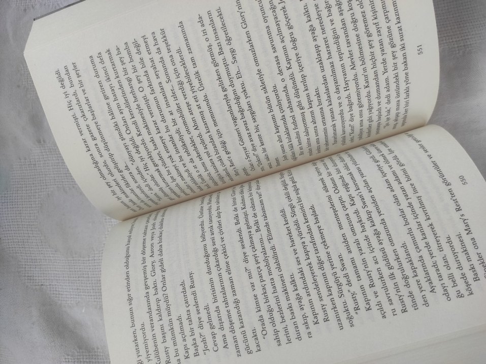 Kuğu şarkısı  - Robert McCammon - Görsel 2