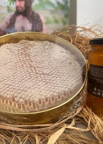 Arı Adam Organik Süzme Bal - Görsel 2