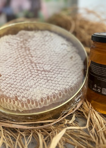 Arı Adam Organik Süzme Bal - Görsel 3