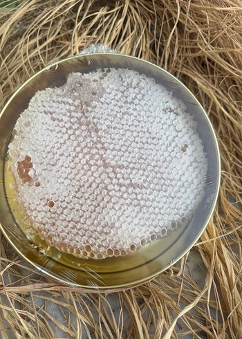 Arı Adam Organik Süzme Bal - Görsel 4