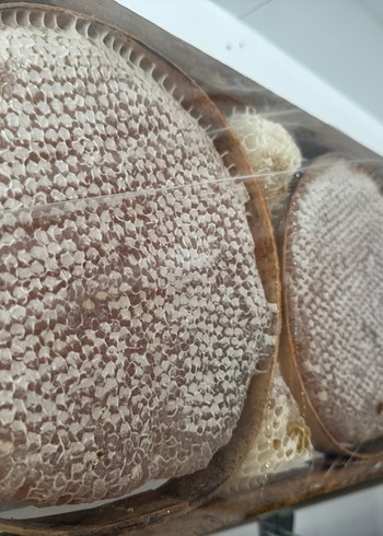 Arı Adam Organik Süzme Bal - Görsel 5