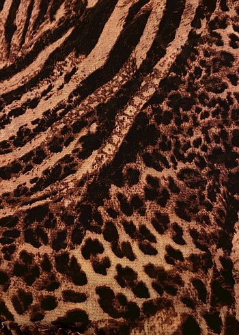 Kahverengi Zebra Desenli Kadın Büstiyer - Görsel 3